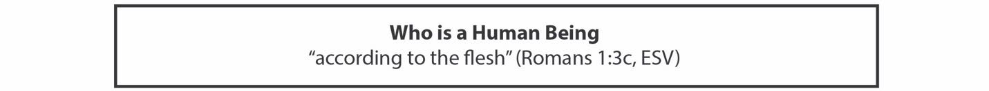 Who is a human being
